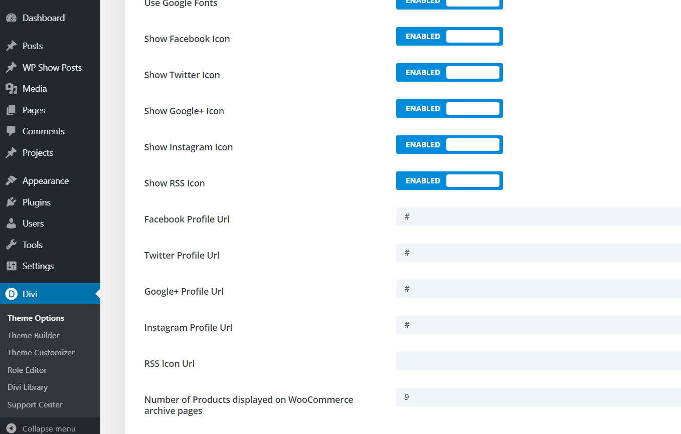 Fügen Sie Social Media-Symbole zum WordPress-Menü hinzu - Divi-Design-Anpasser