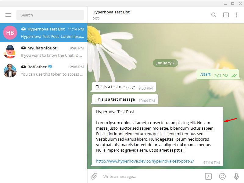 Adicione o Telegram ao WordPress - Teste bem-sucedido