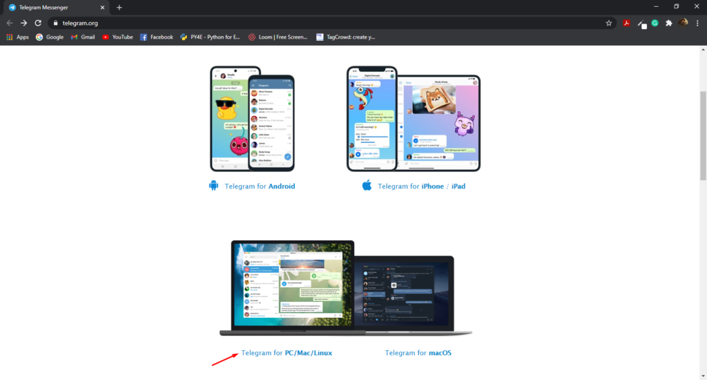 adicionar telegrama ao wordpress - Site do Telegram