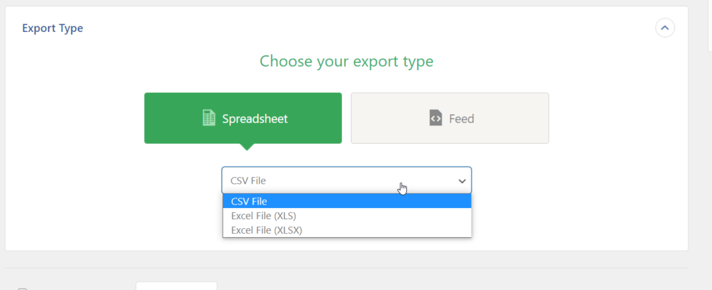 tipo di esportazione del file