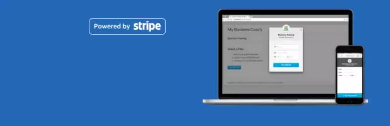 Stripe WordPress 支付网关插件