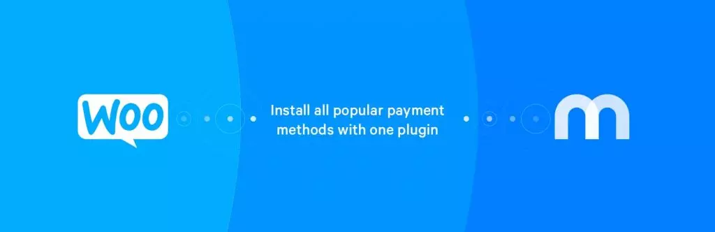 Plugin per gateway di pagamento Mollie Payments