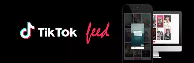 WP TikTok Feed โดย QuadLayers