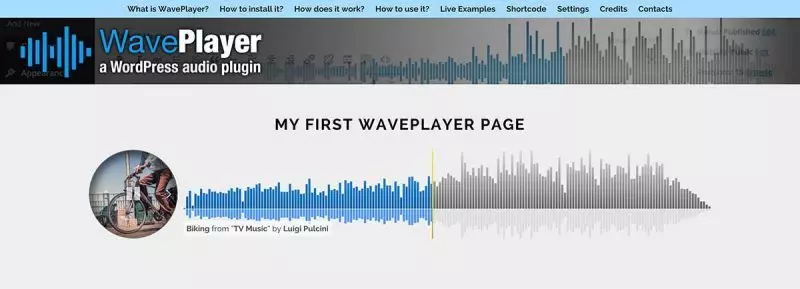 ปลั๊กอิน WordPress Audio Player