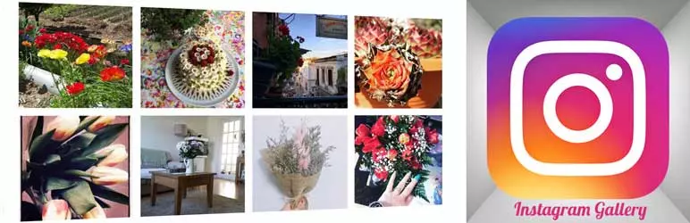 Pluginul WordPress Galeria Instagram