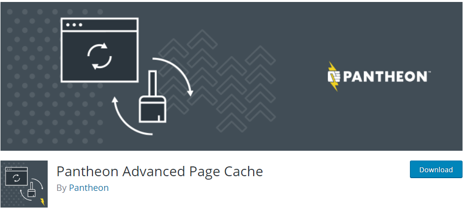 Pantheon Advanced Page Cache