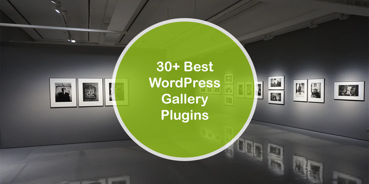 30+ meilleurs plugins de galerie WordPress