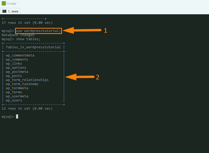 Database WordPress Terhubung melalui CLI -4