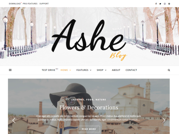 Free WordPress Blog Theme