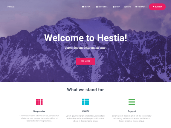 Hestia free business theme for professional  