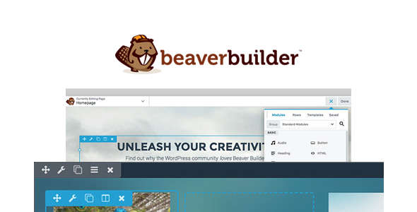 designing with beaver builder