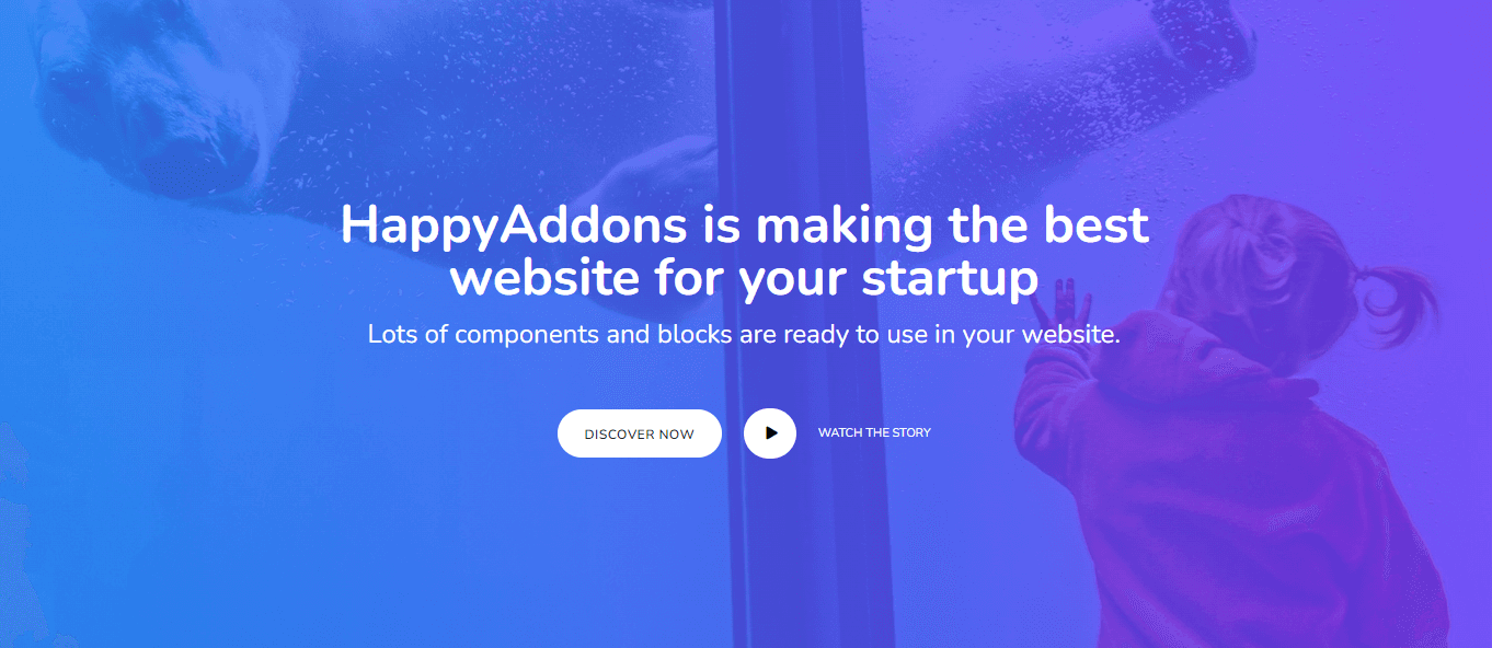 Startup Website Templates