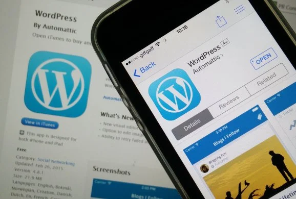 Leggi di più su WordPress che raggiunge il 30 percento