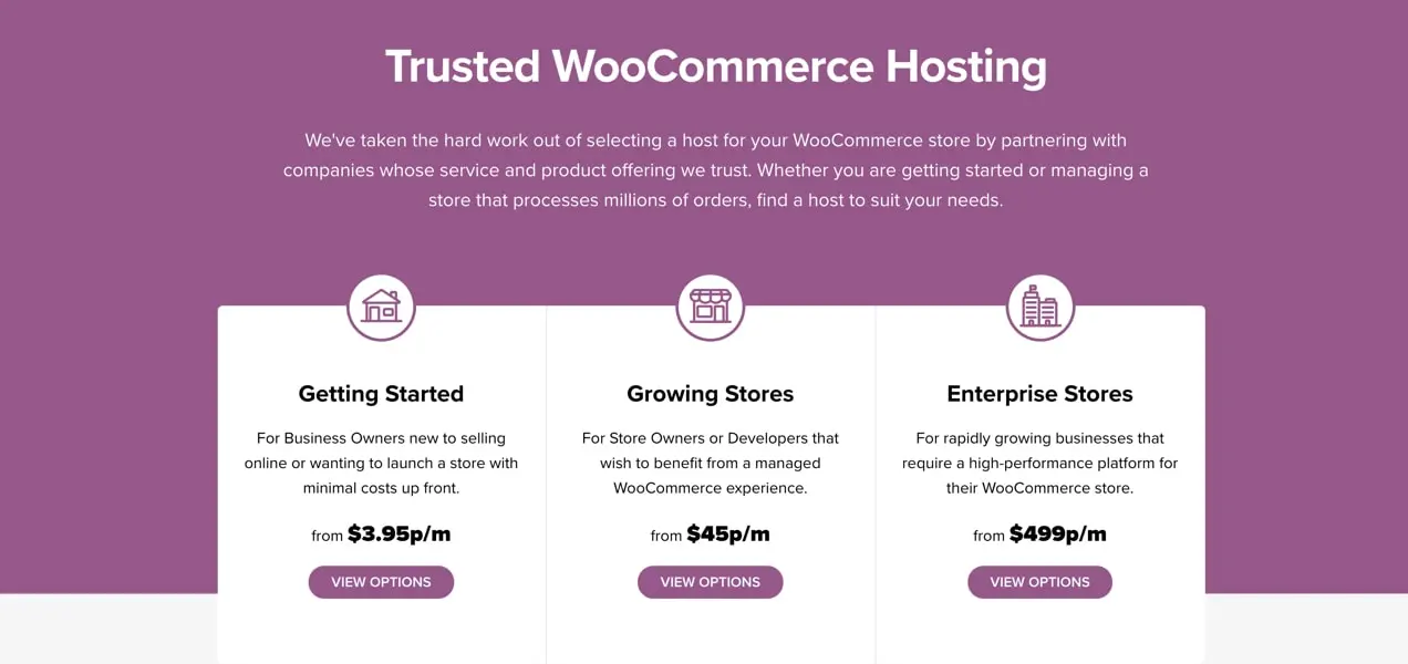 WooCommerce-Hosting-Seite mit Empfehlungen für Geschäfte auf allen Ebenen