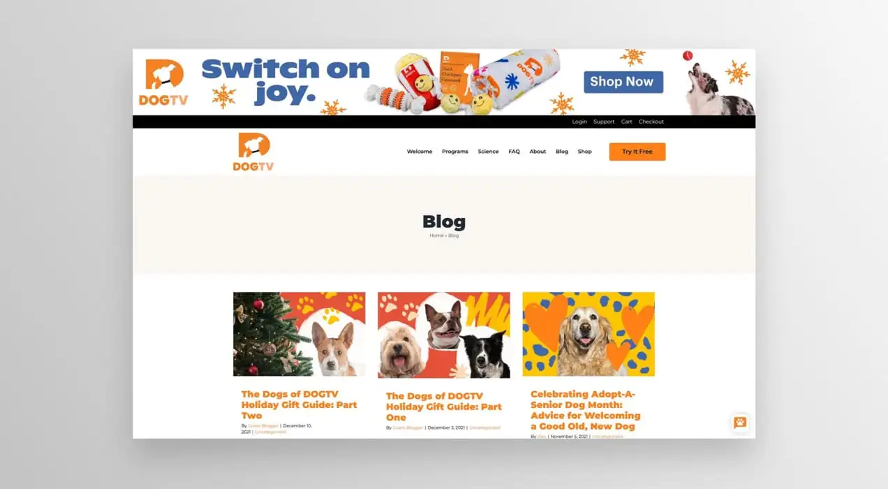 Pagina de blog Dog TV