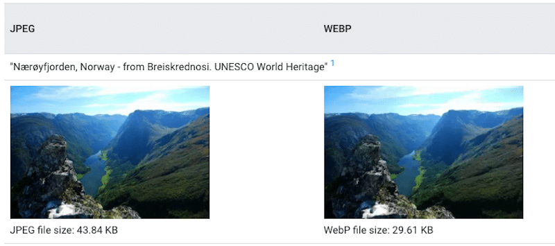 JPEG vs WebP: aceeași calitate, dar dimensiuni diferite - Sursa: WebP Gallery