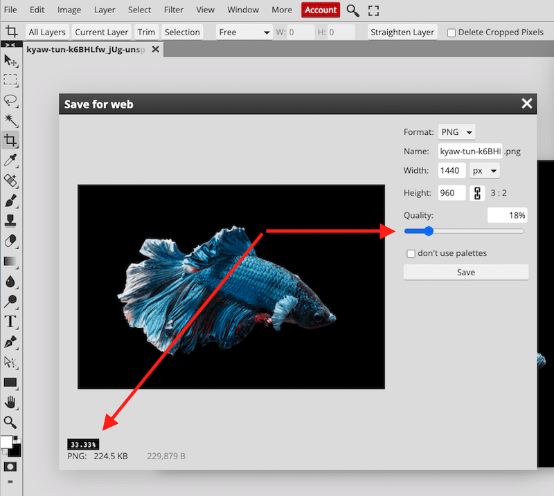 Mengoptimalkan gambar dengan Photopea - Sumber: Photopea