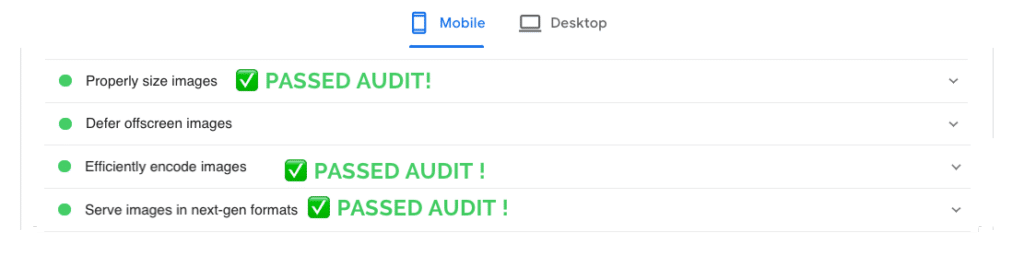 Meine Website hat das Audit mit Imagify bestanden