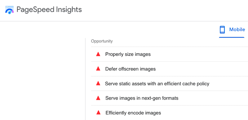 Probleme legate de imagini - Sursa: Google PageSpeed ​​Insights