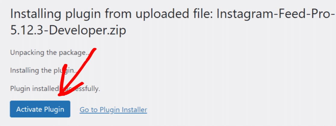 installer le plug-in Instagram Feed Pro