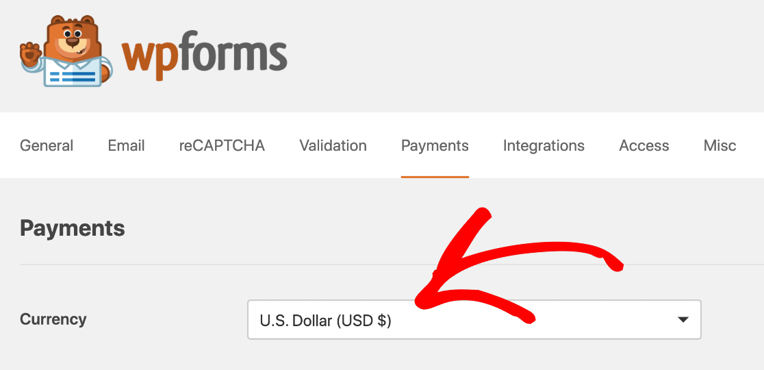 WPForms ödeme formu para birimi