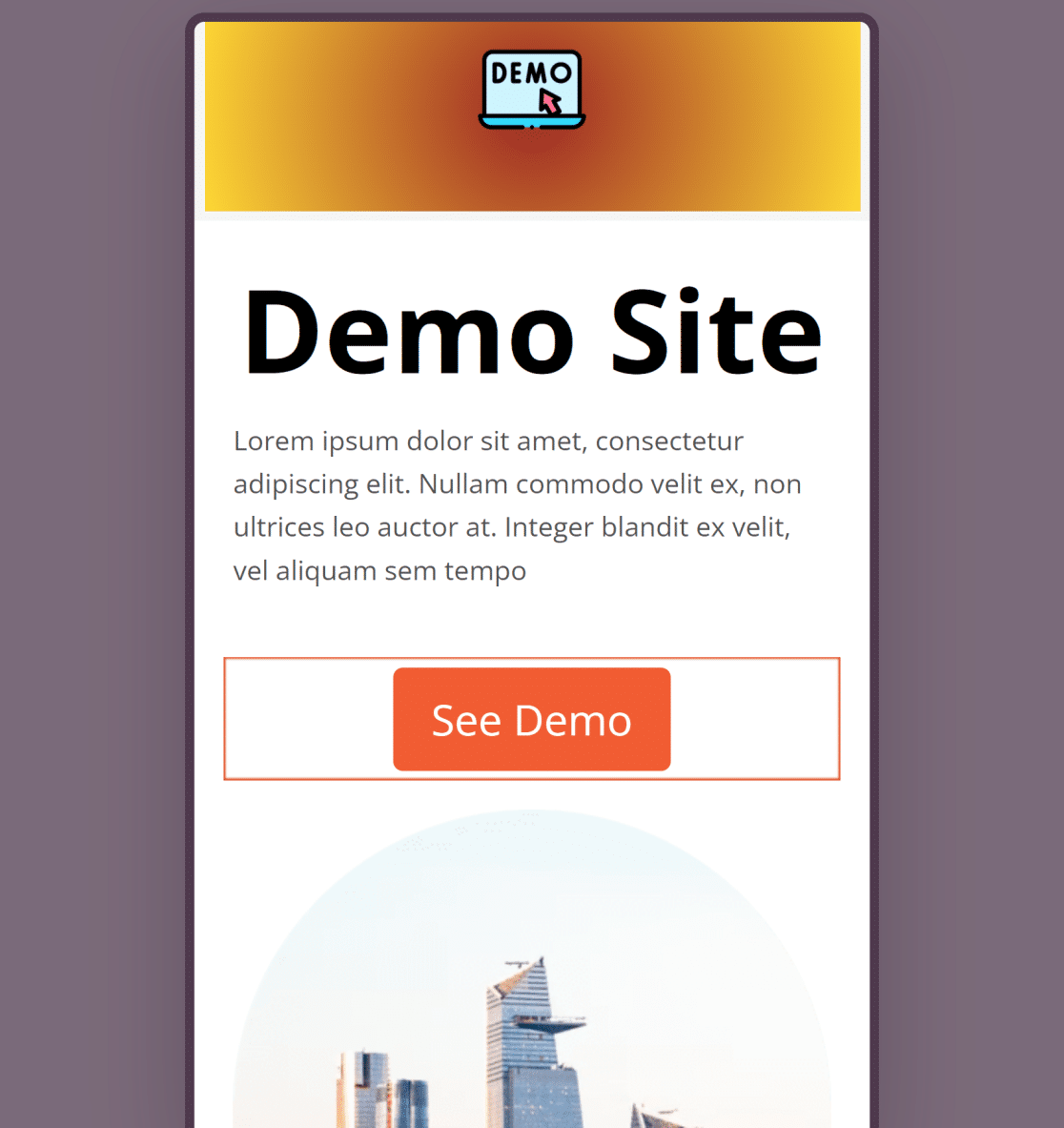 Demo-Site von SeedProd Mobile anzeigen