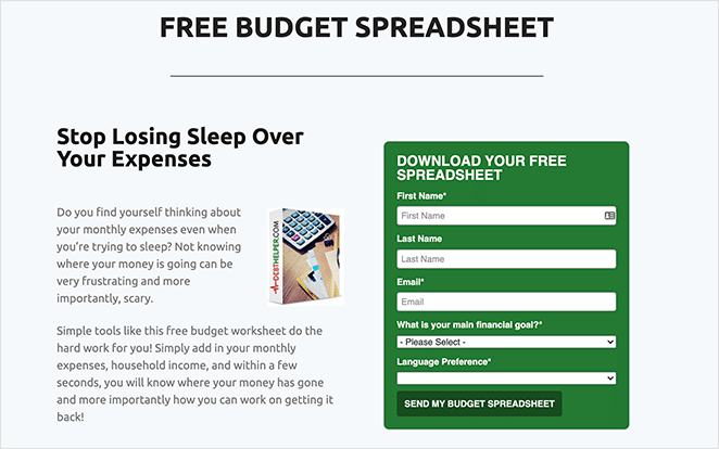 spreadsheet lead magnet example