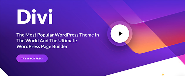 Divi wordpress responsive theme examples