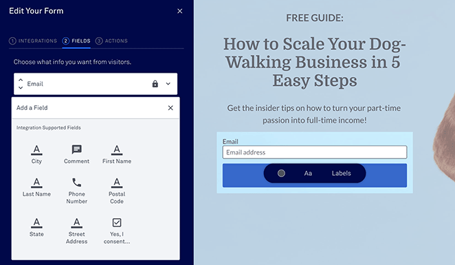 customize form fields LeadPages review