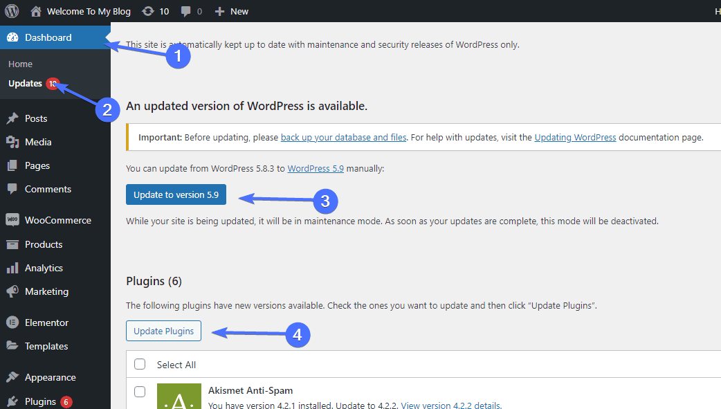 Actualizar versión de WordPress