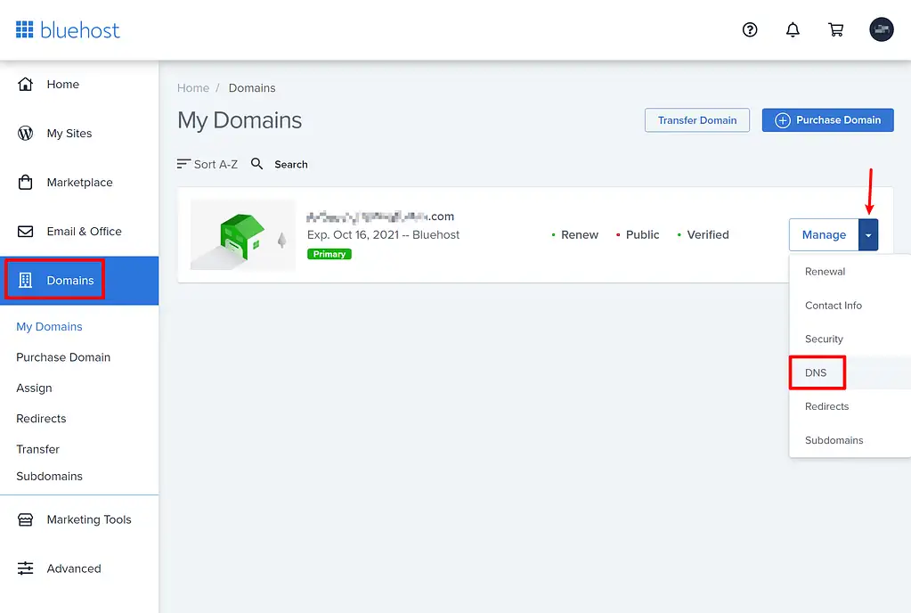 Como abrir as configurações de DNS no Bluehost