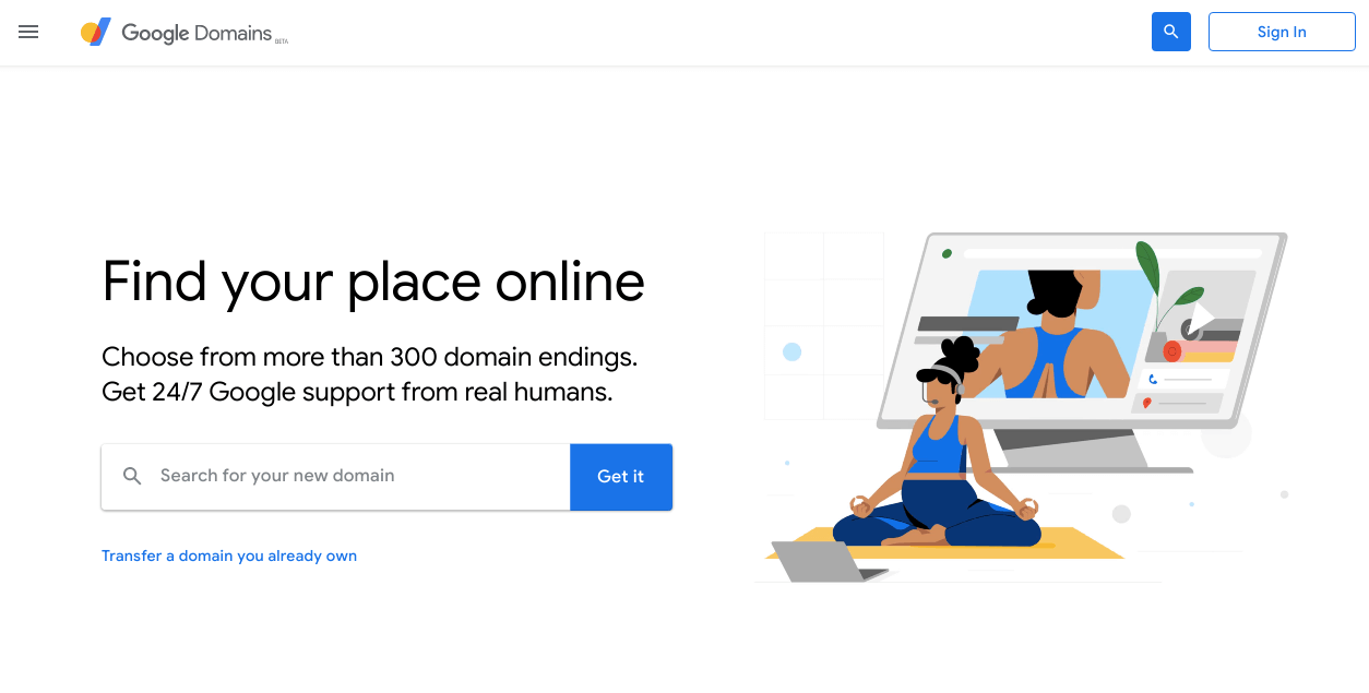 Pagina de pornire Google Domains