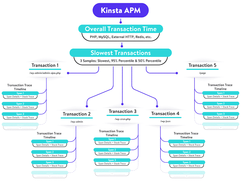 金斯塔 APM