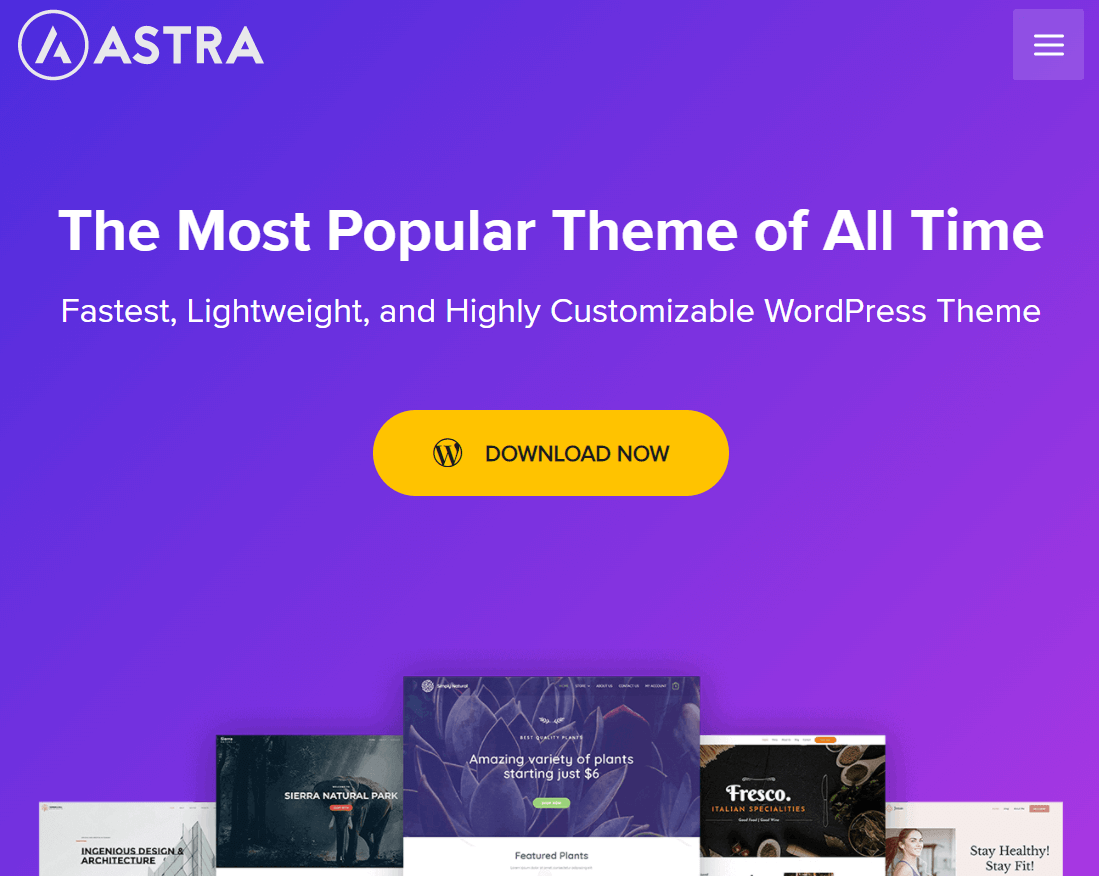 Astra WordPress Theme