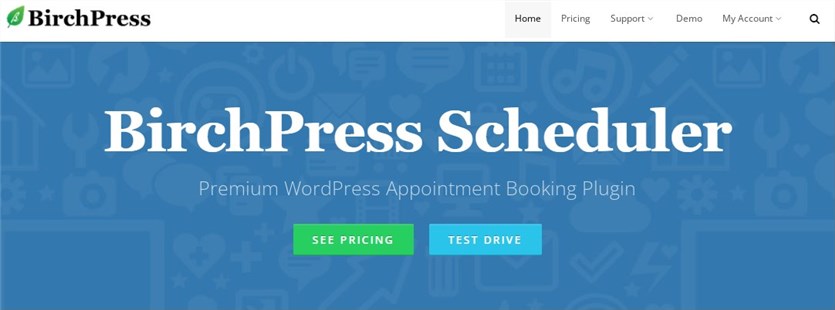 BirchPress-plugin-wordpress-spa-programación