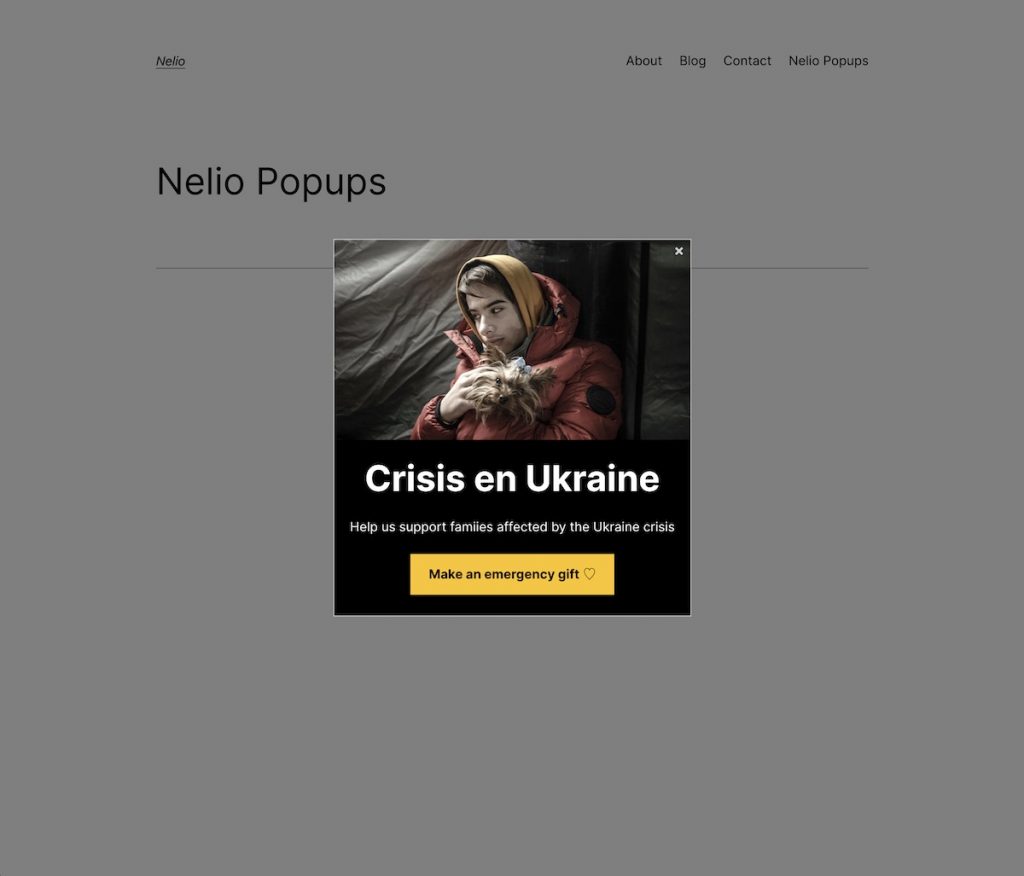 Visualisation de la popup créée en copiant celle de l'International Rescue Committee