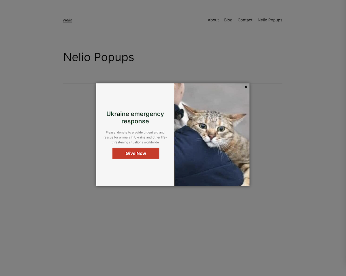 Visualisation de la popup créée avec Nelio Popups