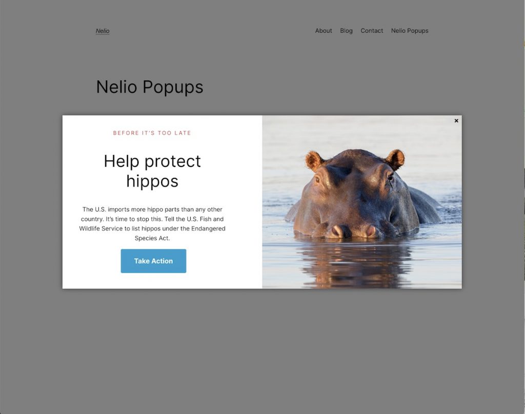 Visualisation de la popup créée avec Nelio Popups