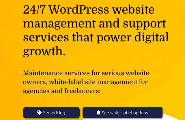 WPBuffs WordPress 웹사이트 관리 및 지원 서비스