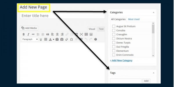 Balises de publication et catégories pour les pages