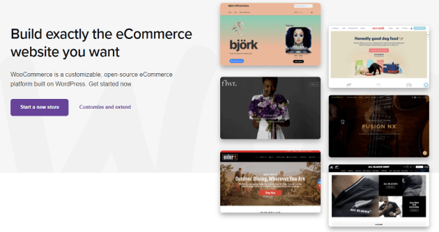 Captură de ecran a paginii de pornire a pluginului WordPress WooCommerce