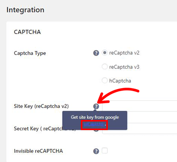 Cliquez sur le lien reCAPTCHA