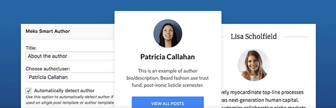 Meks smart author widget plugin for WordPress