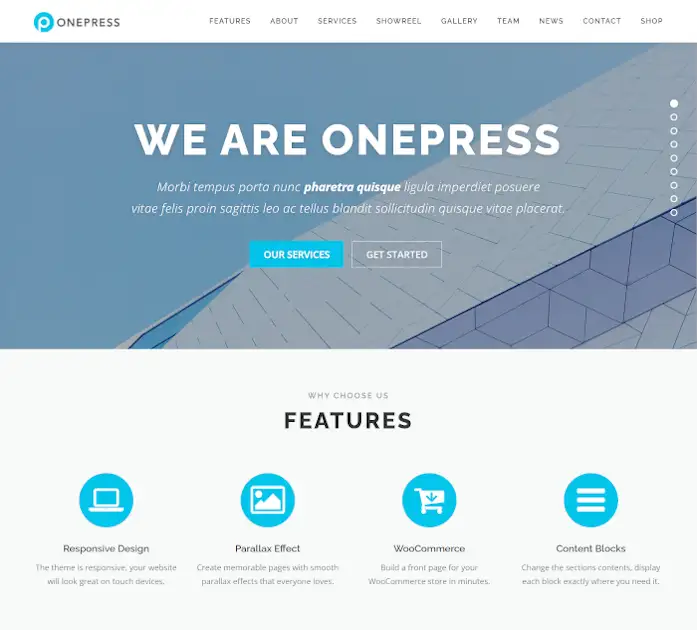 Cele mai bune teme WordPress simple: OnePress