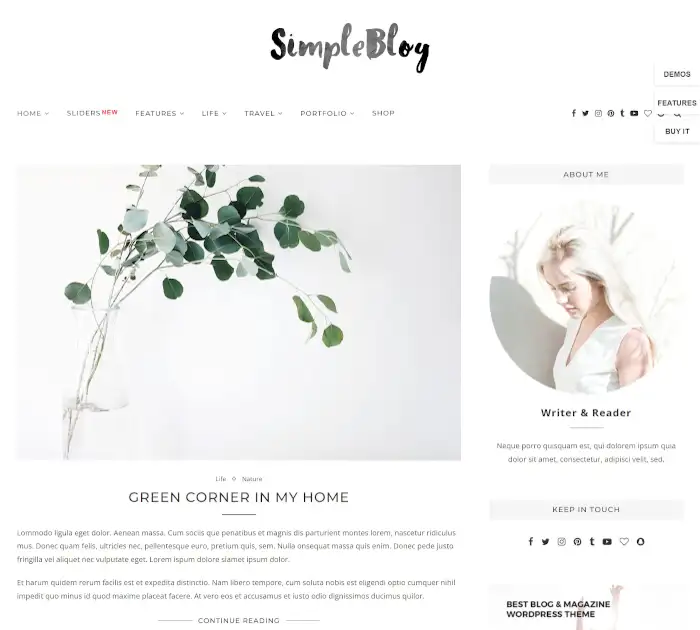 Cele mai bune teme WordPress simple: Soledad