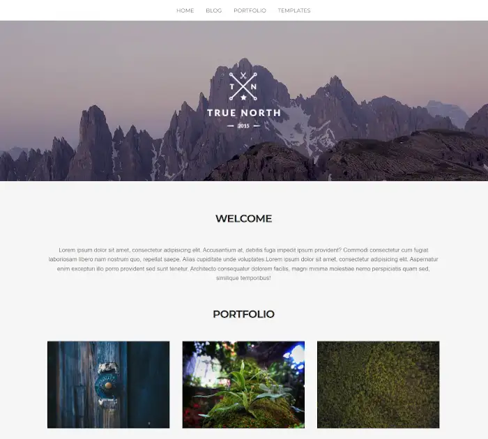 Najlepsze proste motywy WordPress: True North