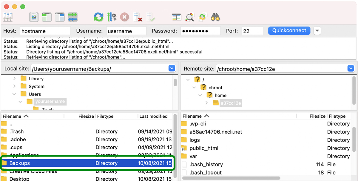 Pasta de backups destacada em azul