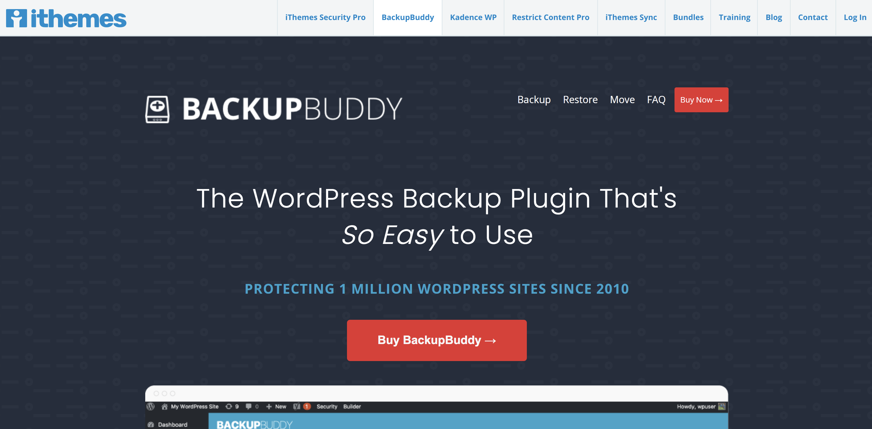 Página de inicio de BackupBuddy