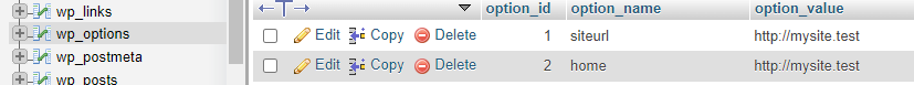 wp_options-Tabelle in der Datenbank