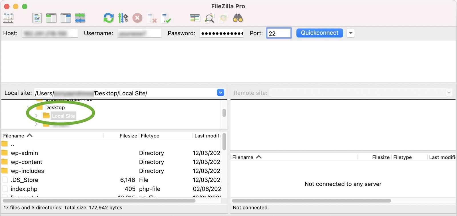 Directory del sito locale cerchiata nel pannello di sinistra